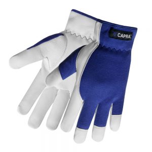 CAPRA <span style="color: #A7C83C;">147</span>