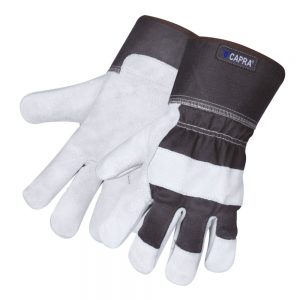 CAPRA <span style="color: #A7C83C;">150</span>