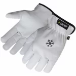 CAPRA <span>307</span>