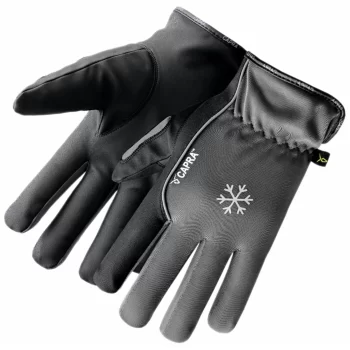 CAPRA <span>308</span>