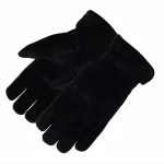 CAPRA <span>351</span>